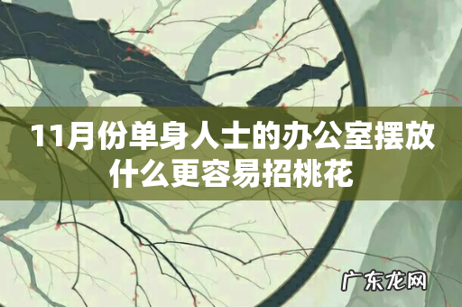 11月份单身人士的办公室摆放什么更容易招桃花