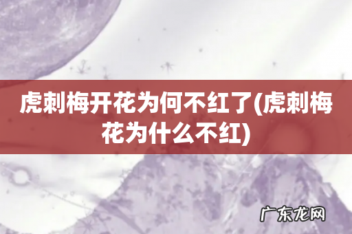 虎刺梅花为什么不红 虎刺梅开花为何不红了