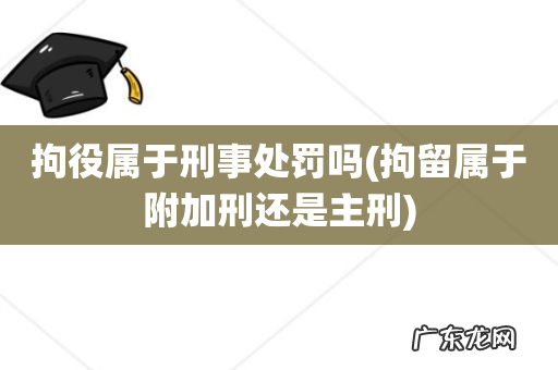 拘留属于附加刑还是主刑 拘役属于刑事处罚吗