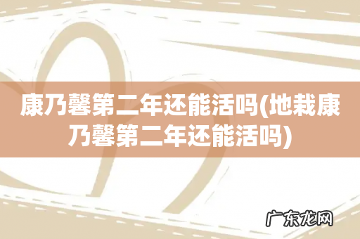 地栽康乃馨第二年还能活吗 康乃馨第二年还能活吗