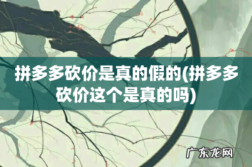 拼多多砍价这个是真的吗 拼多多砍价是真的假的