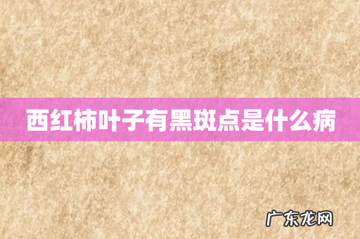 西红柿叶子有黑斑点是什么病