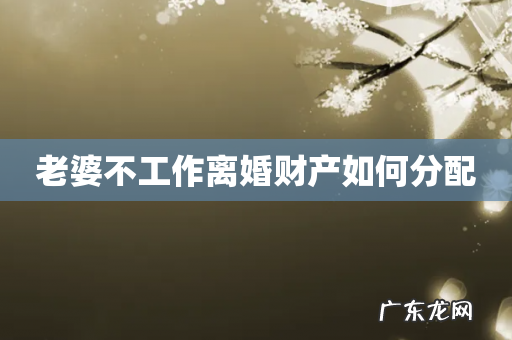 老婆不工作离婚财产如何分配