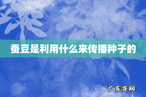 蚕豆是利用什么来传播种子的