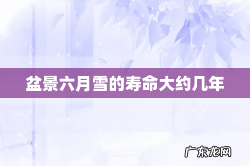 盆景六月雪的寿命大约几年