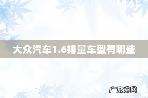 大众汽车1.6排量车型有哪些