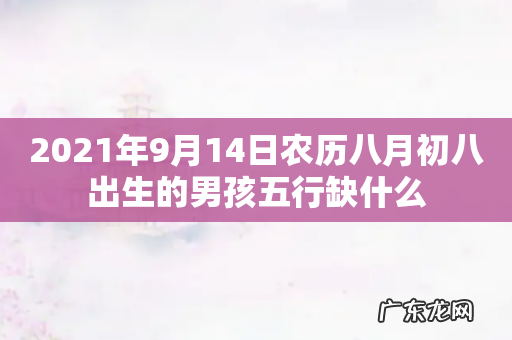 2021年9月14日农历八月初八出生的男孩五行缺什么