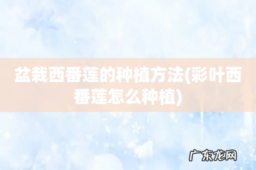 彩叶西番莲怎么种植 盆栽西番莲的种植方法