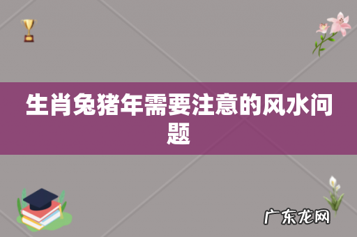 生肖兔猪年需要注意的风水问题