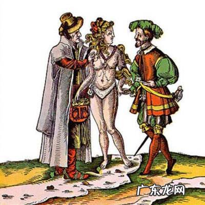 女贞操带是什么?