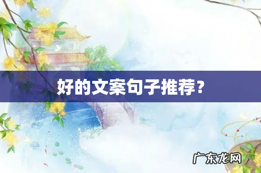 好的文案句子推荐?
