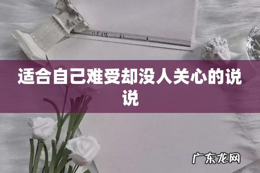 适合自己难受却没人关心的说说