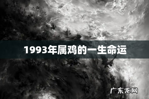 1993年属鸡的一生命运