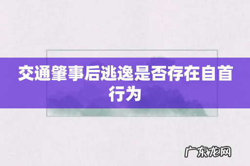 交通肇事后逃逸是否存在自首行为