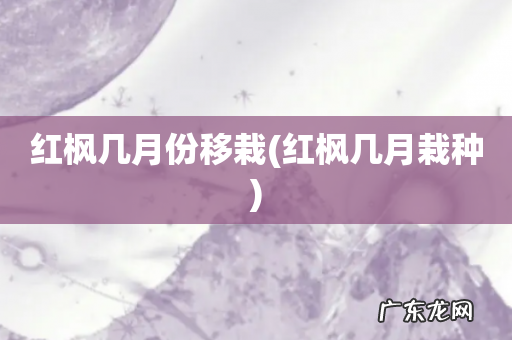 红枫几月栽种 红枫几月份移栽