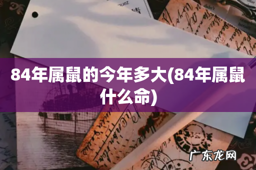 84年属鼠什么命 84年属鼠的今年多大