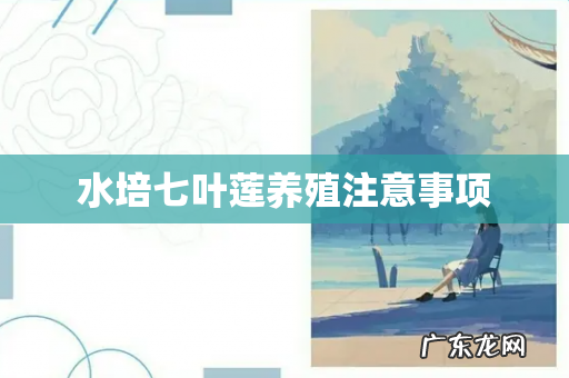 水培七叶莲养殖注意事项