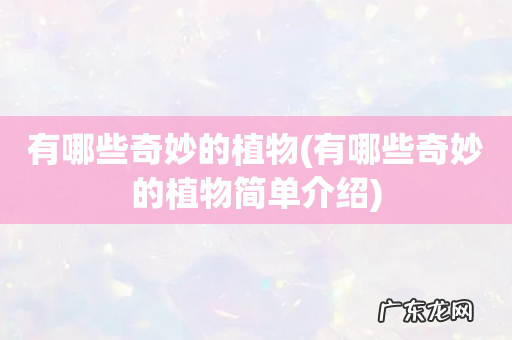 有哪些奇妙的植物简单介绍 有哪些奇妙的植物