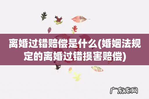 婚姻法规定的离婚过错损害赔偿 离婚过错赔偿是什么