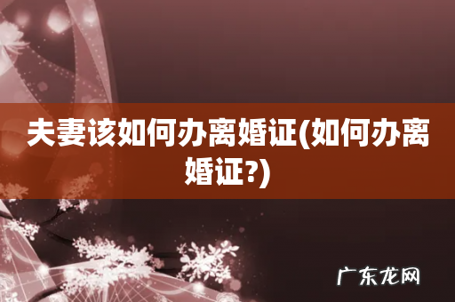 如何办离婚证? 夫妻该如何办离婚证