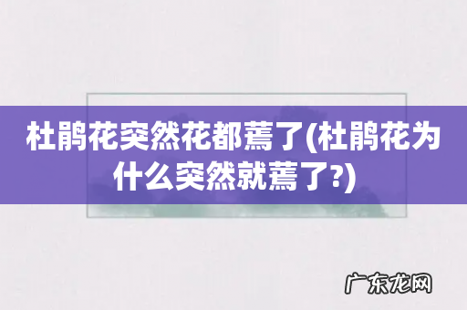 杜鹃花为什么突然就蔫了? 杜鹃花突然花都蔫了