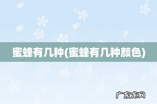 蜜蜂有几种颜色 蜜蜂有几种