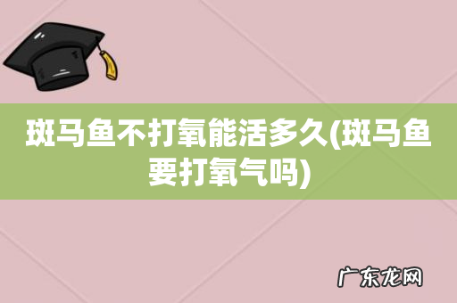 斑马鱼要打氧气吗 斑马鱼不打氧能活多久