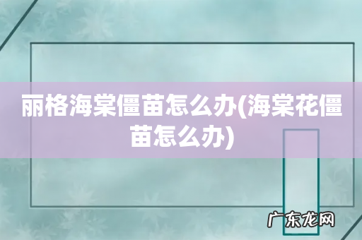 海棠花僵苗怎么办 丽格海棠僵苗怎么办