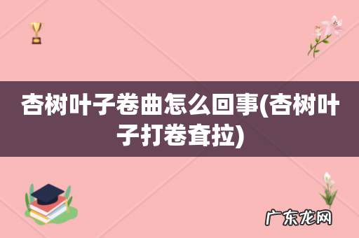 杏树叶子打卷耷拉 杏树叶子卷曲怎么回事