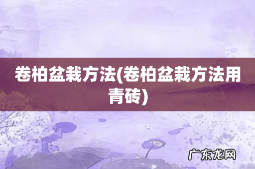 卷柏盆栽方法用青砖 卷柏盆栽方法