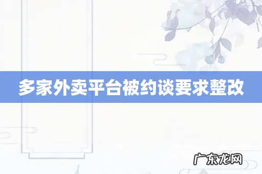 多家外卖平台被约谈要求整改