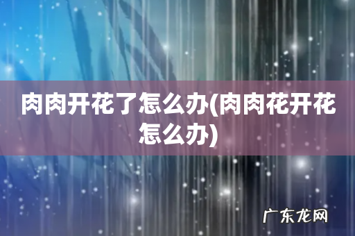 肉肉花开花怎么办 肉肉开花了怎么办