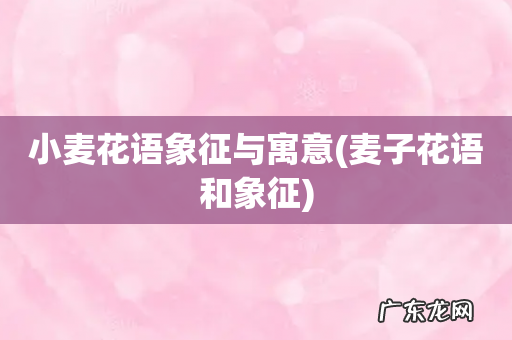 麦子花语和象征 小麦花语象征与寓意