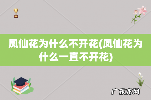 凤仙花为什么一直不开花 凤仙花为什么不开花