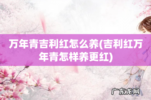 吉利红万年青怎样养更红 万年青吉利红怎么养