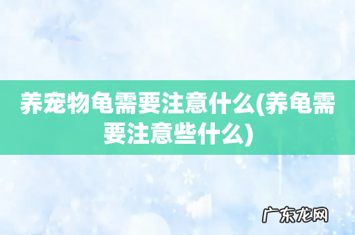 养龟需要注意些什么 养宠物龟需要注意什么