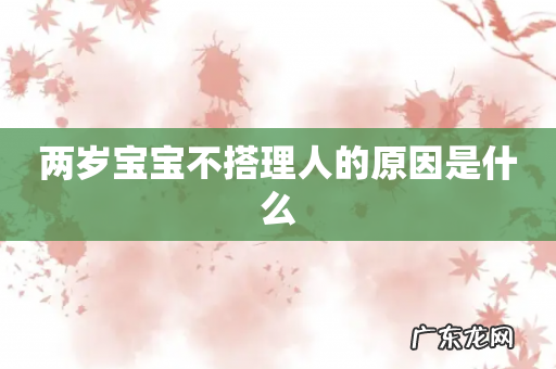 两岁宝宝不搭理人的原因是什么