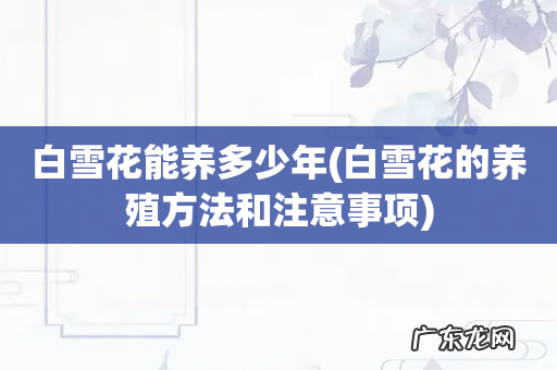 白雪花的养殖方法和注意事项 白雪花能养多少年