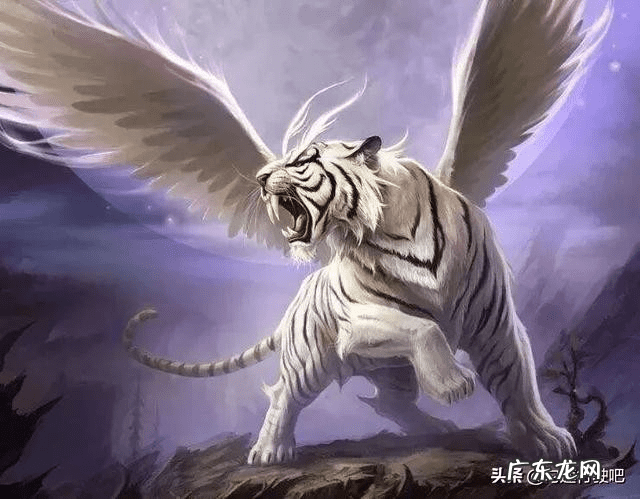 青龙东方为什么在左边 中国风水观念中东是指青龙吗