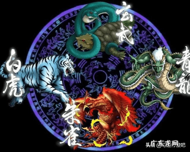 青龙东方为什么在左边 中国风水观念中东是指青龙吗