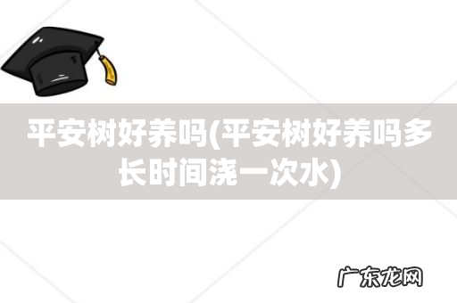 平安树好养吗多长时间浇一次水 平安树好养吗