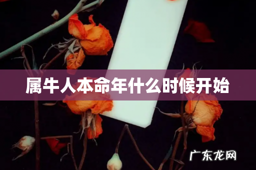 属牛人本命年什么时候开始