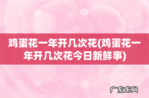 鸡蛋花一年开几次花今日新鲜事 鸡蛋花一年开几次花