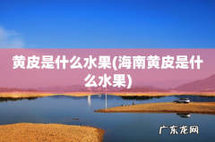 海南黄皮是什么水果 黄皮是什么水果