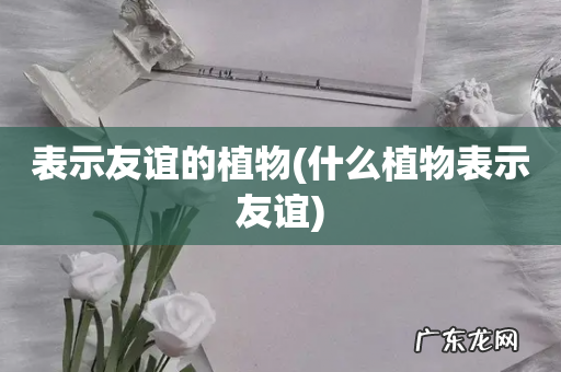什么植物表示友谊 表示友谊的植物