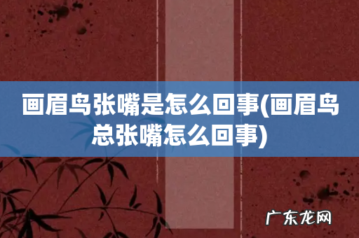 画眉鸟总张嘴怎么回事 画眉鸟张嘴是怎么回事