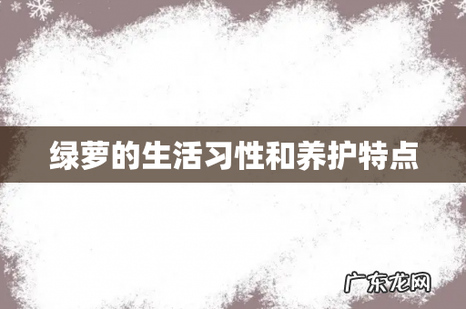 绿萝的生活习性和养护特点
