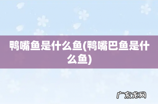 鸭嘴巴鱼是什么鱼 鸭嘴鱼是什么鱼