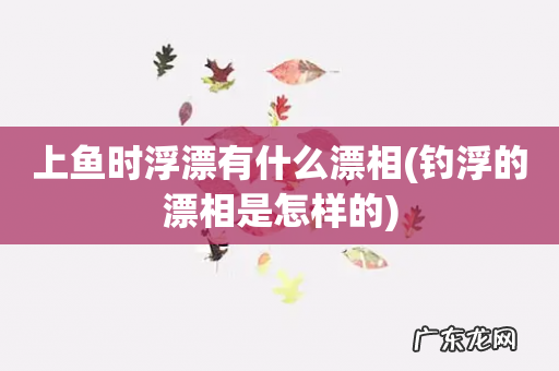 钓浮的漂相是怎样的 上鱼时浮漂有什么漂相