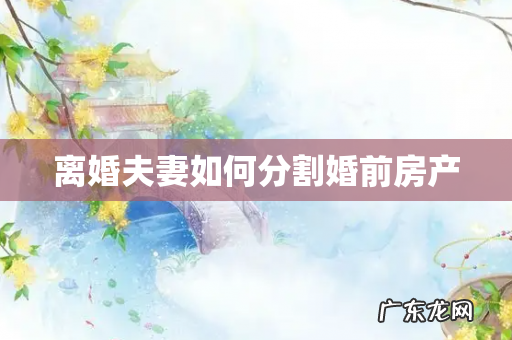 离婚夫妻如何分割婚前房产